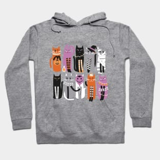 High Gothic Halloween Cats // print // purple background orange grey purple white and black kittens Hoodie